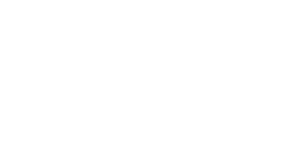 ews logo weiss komplett