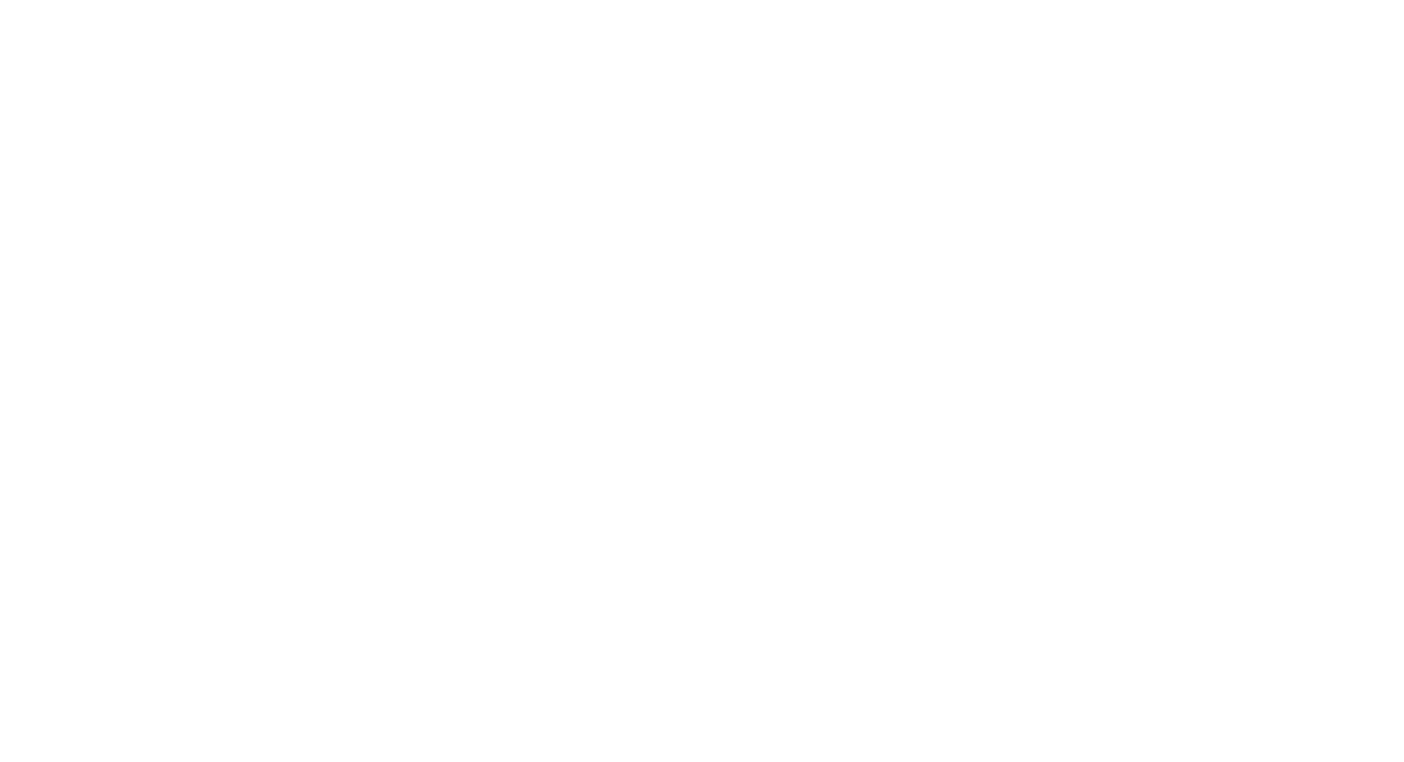 ews logo weiss komplett