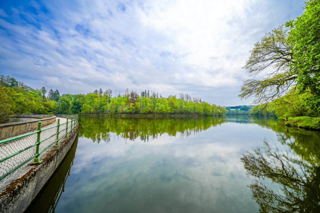 landscape at the heilenbecker reservoir. nature by the lake near ennepetal.